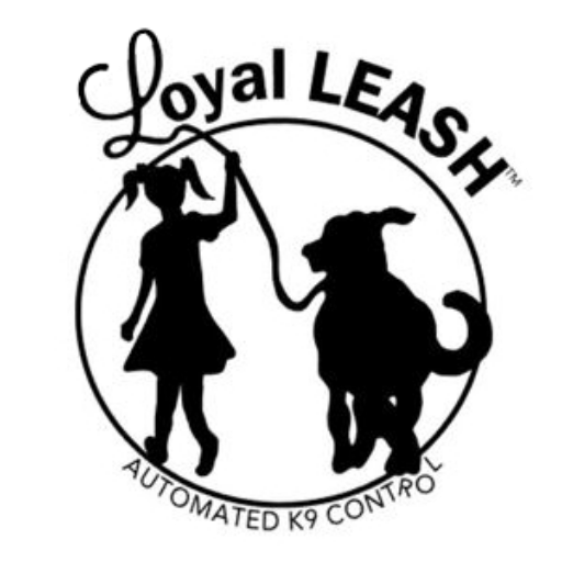 Brandragons design launch labs team development brand branding marketing digital app consumers assist media brands social media media marketing social media marketing launched brand launch launch package brand launch package